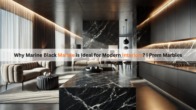 Marine Black Marble - Prem Marbles